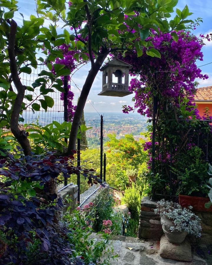 La Magione Dei Todaro บอร์โก อา บุจจาโน ภายนอก รูปภาพ